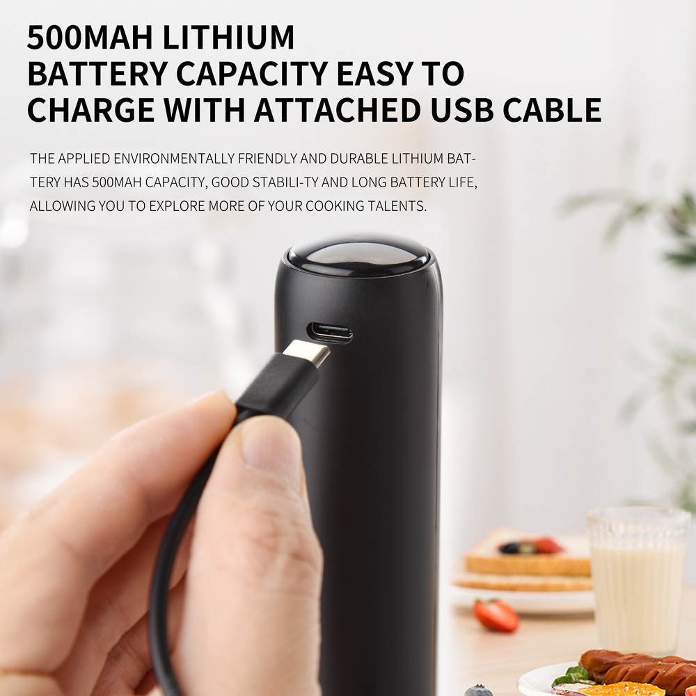 Frullatore Elettrico Potente d - Kitchen Gadgets Products recensione e prezzo