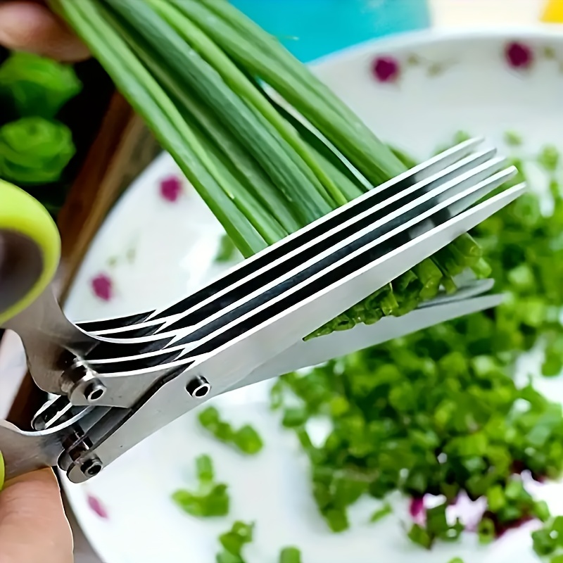 Forbici per Erbe Aromatiche in - Herb Scissors 5 Blade recensione e prezzo